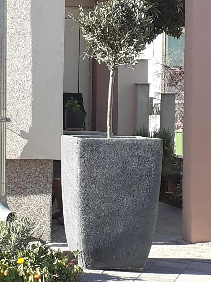 Apartman Noah Zadar 0*,